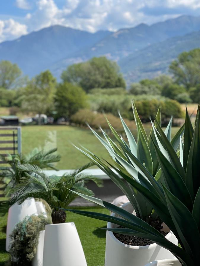 Art B&B Design Costa Volpino Zewnętrze zdjęcie