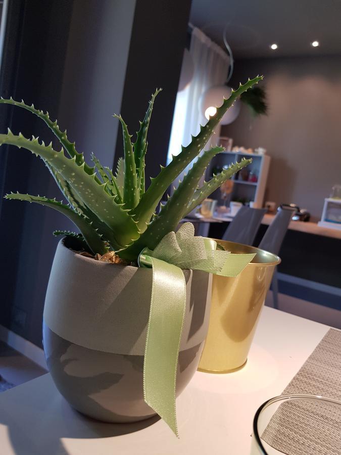 Art B&B Design Costa Volpino Zewnętrze zdjęcie
